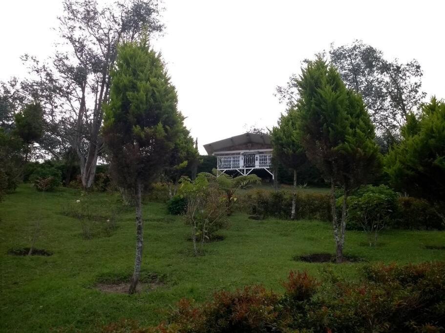 Chalet Linda Vista Pinos