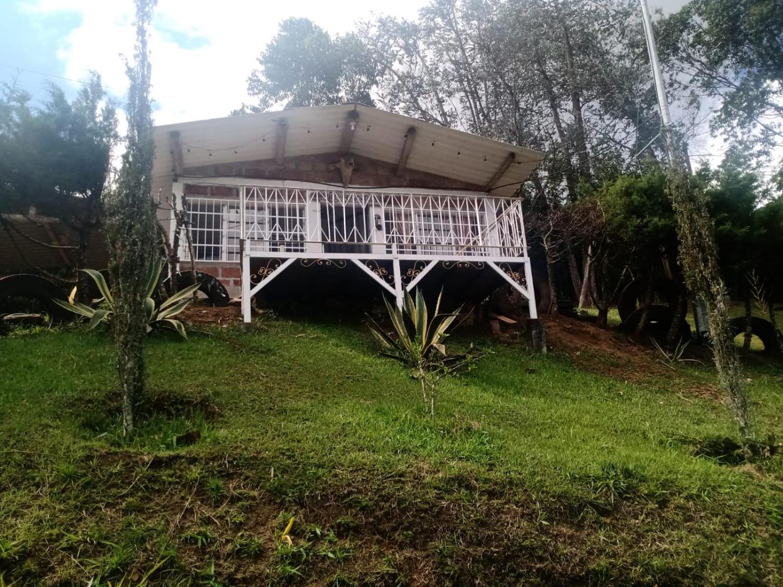 Linda Vista Pinos Rionegro